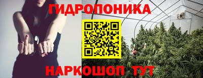 гашик Ставрополь