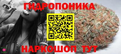 гашик Ставрополь