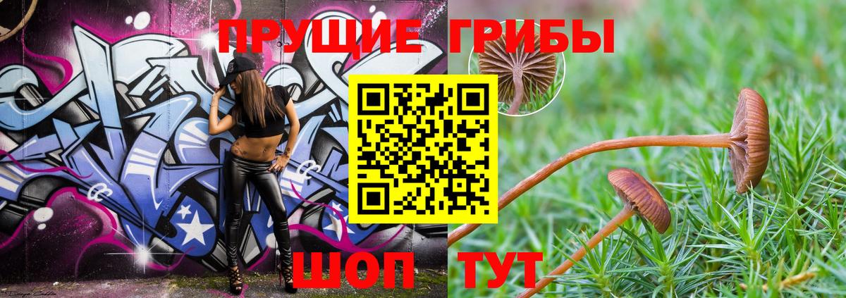 Нягань  Псилоцибиновые грибы MAGIC MUSHROOMS  Псилоцибиновые грибы Cubensis  Вход с VPN 